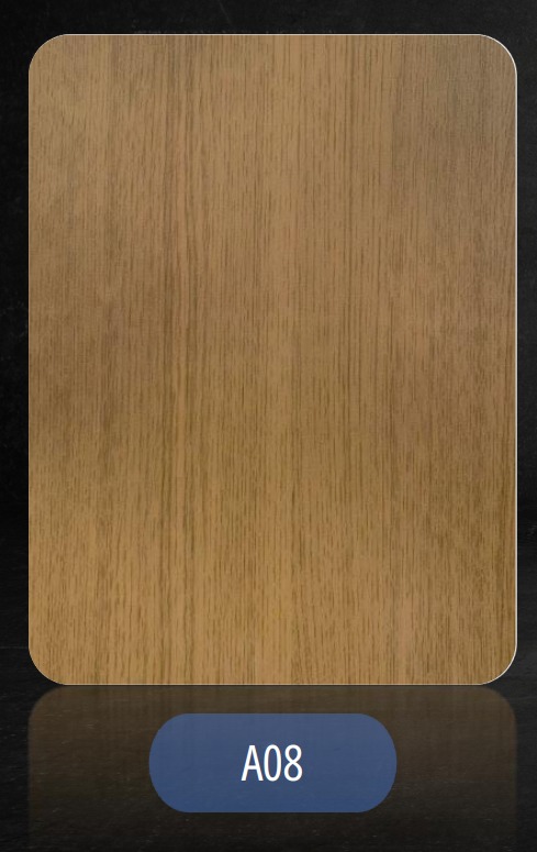 a08