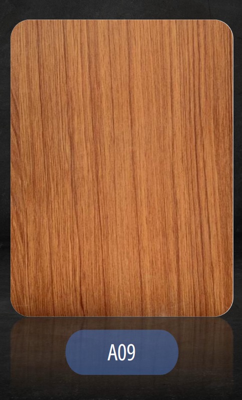 a09